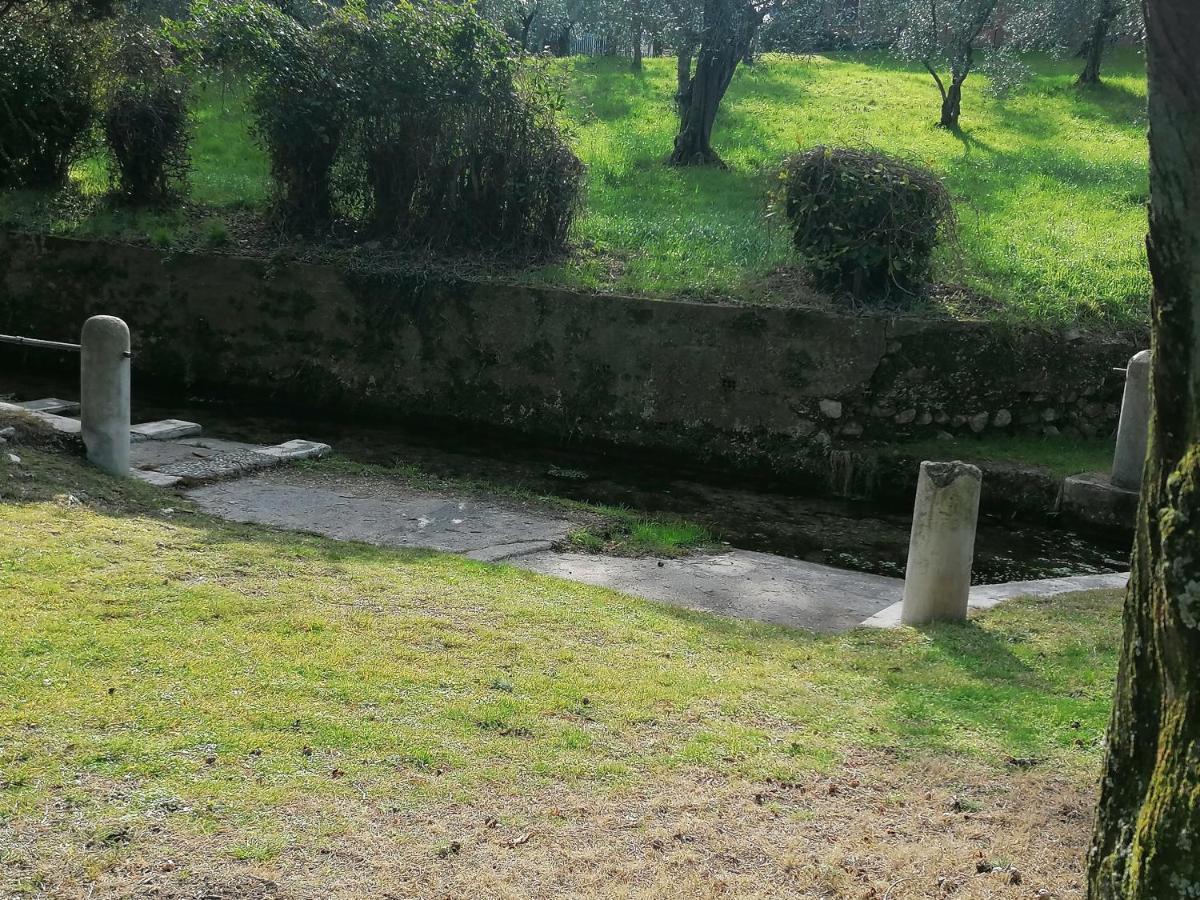 Bilocale Papavero, Magnolia O Girasole San Felice del Benaco Exteriér fotografie
